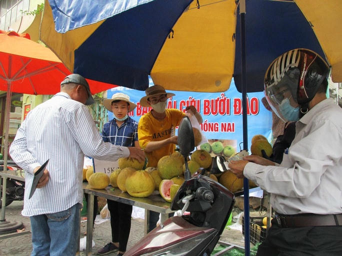 Người dân TP HCM giải cứu bưởi đào đặc sản. Ảnh: N.A