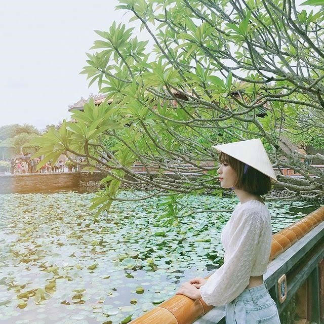 Ảnh 2: Đại nội Huế ngập tràn trong sắc xanh (Ảnh: @souris_suri)