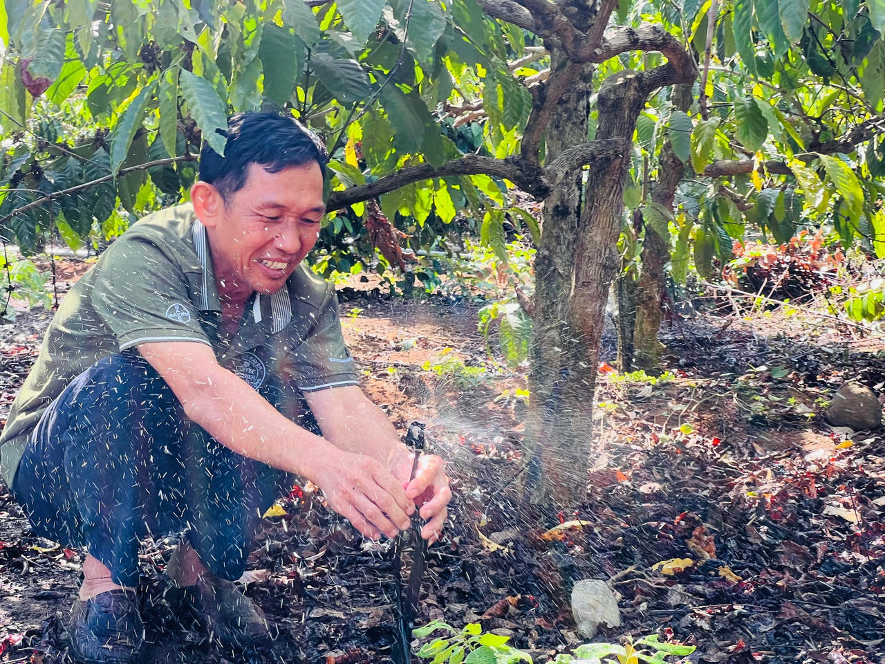 Nhiều hộ dân ở huyện Cư M' gar, đang áp hệ thống tưới nhỏ giọt để tiết kiệm nước.