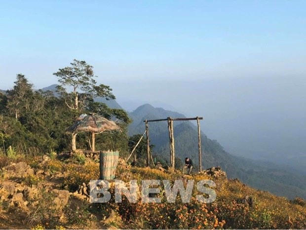 Bản Pà Cò đón Xuân. (Ảnh: Thúy Hiền/Bnews/TTXVN/Vietnam+).