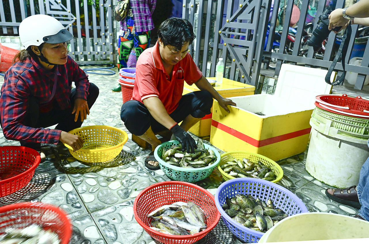 Người dân làm nghề lưới vốn hào sảng nên việc mua bán cũng rất nhanh lẹ. Ảnh Nguyễn Minh