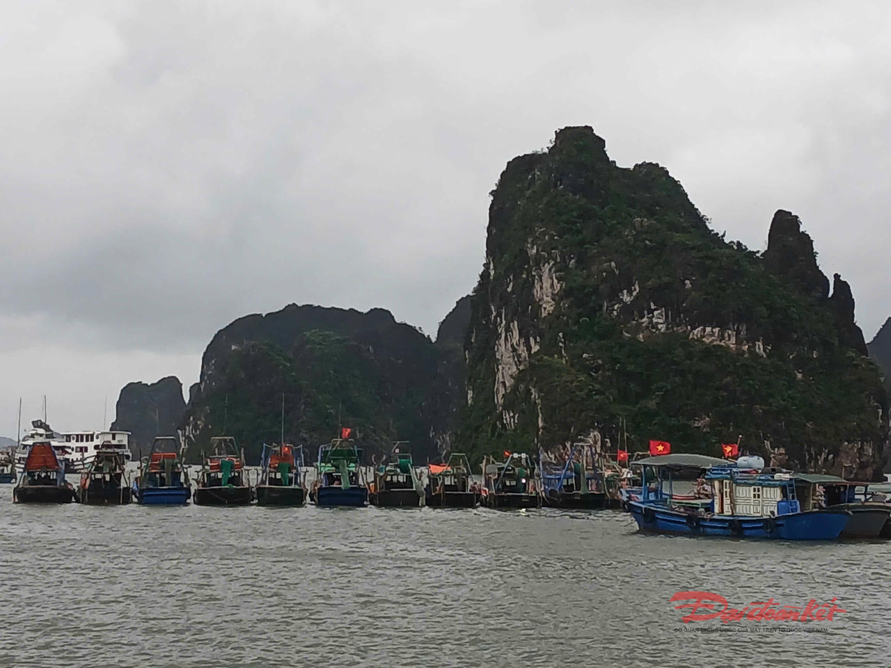 Tàu cá neo đậu tại khu vực vịnh Hạ Long tránh bão số 9, 10. Ảnh: Nguyễn Quý.
