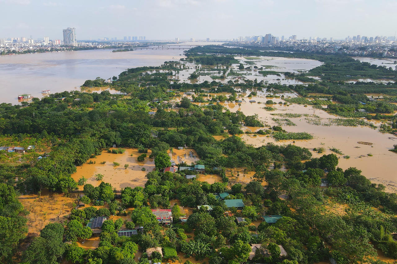 Theo ghi nhận của PV Báo Đại đoàn kết, sáng 2/10 mực nước sông Hồng đã ở mức báo động 1, khiến nhiều ngôi nhà ở bãi giữa sông Hồng bị ngập tới gần nóc nhà, hoa mùa bị "nhấn chìm" bởi dòng nước.