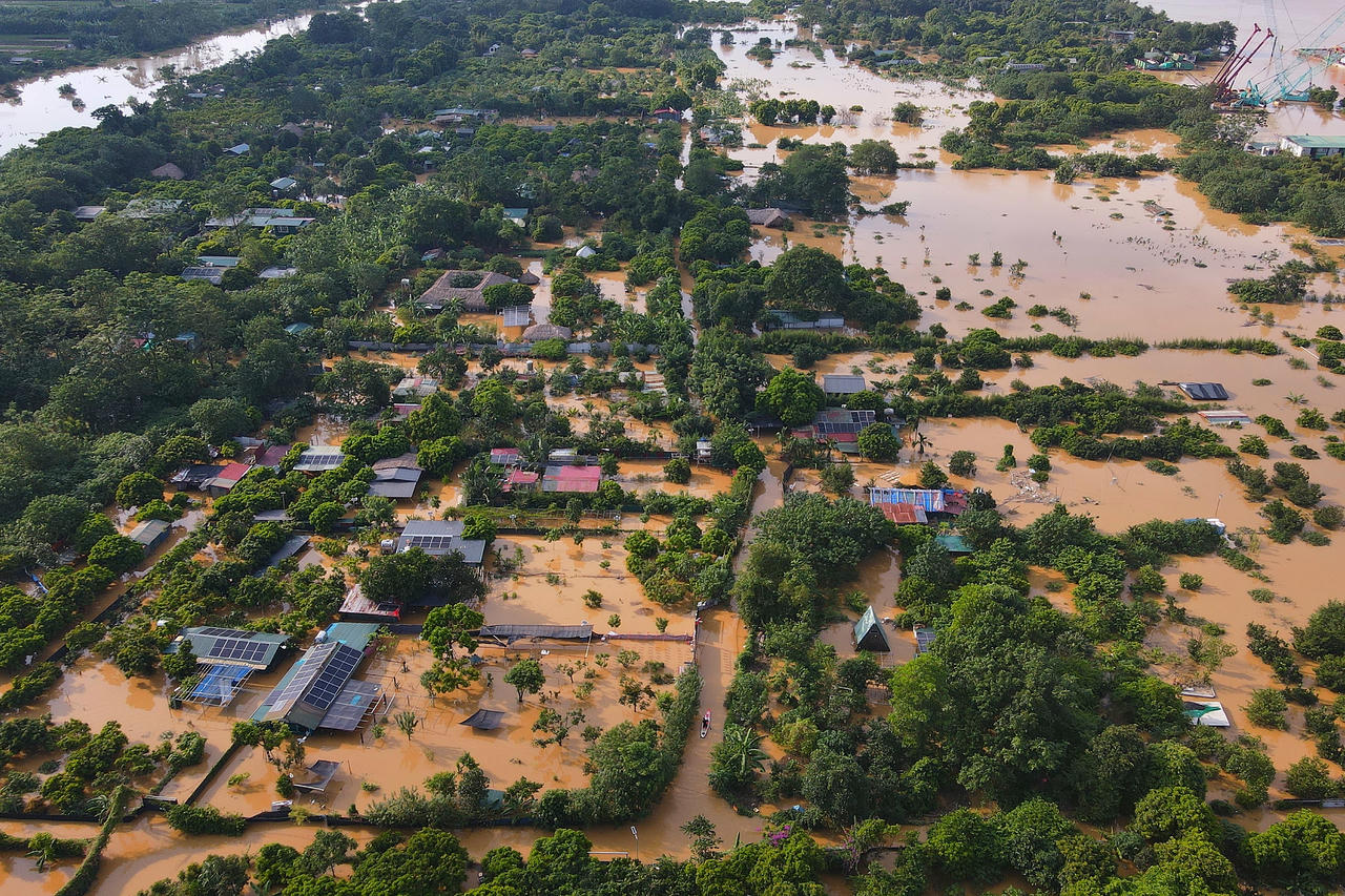 Hoa màu bị nhấn chìm bởi nước.