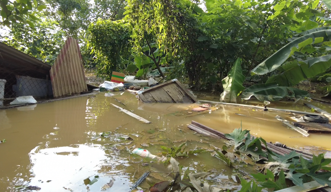 Nhiều đồ vật lơ lửng trên mặt nước.