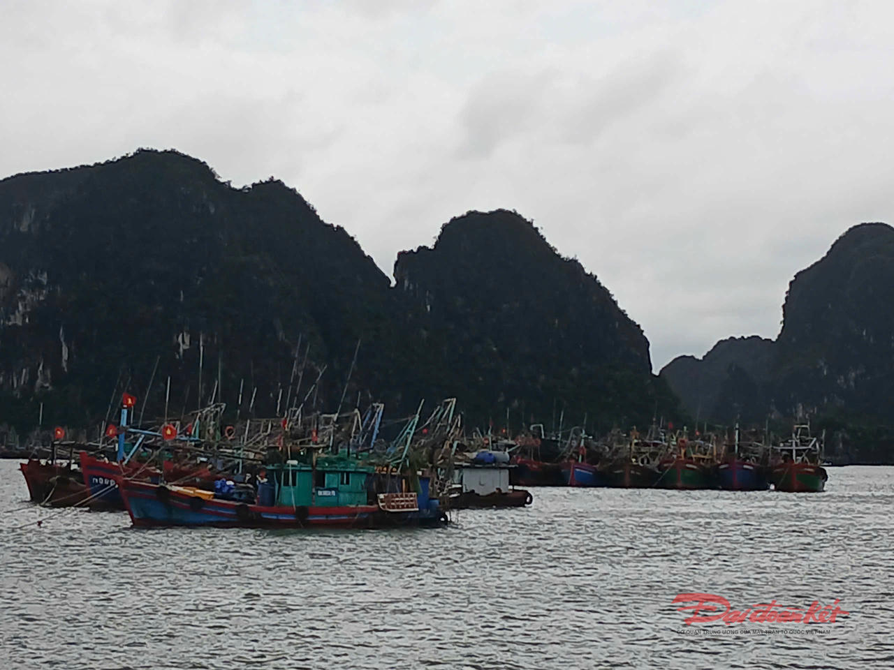 Tàu cá về nơi tránh trú an toàn trên vùng vịnh Hạ Long. Ảnh: Nguyễn Quý.