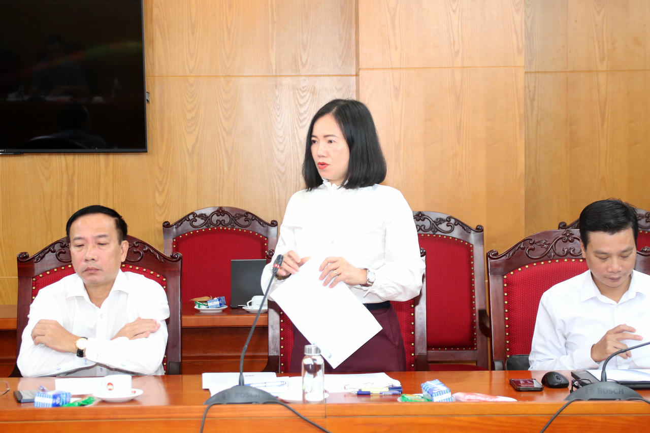 Bà Hoàng Thị Thơm, Phó Cục trưởng Cục Dân số (Bộ Y tế) phát biểu tại Hội nghị. Ảnh: Tiến Đạt.