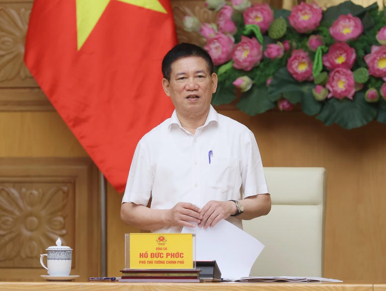 Phó Thủ tướng Hồ Đức Phớc phát biểu tại cuộc họp. VGP/Trần Mạnh.