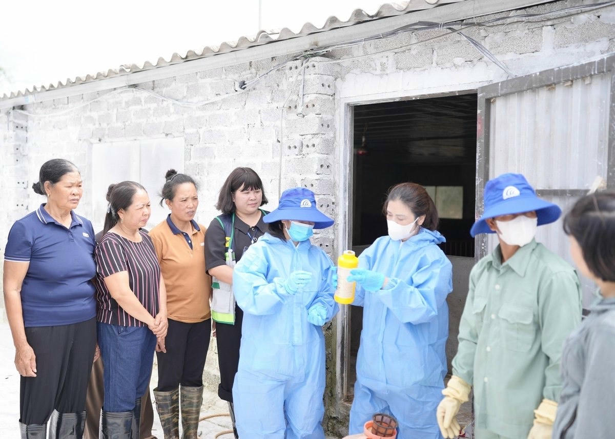 Hướng dẫn nông dân kỹ thuật xử lý chuồng trại sau ngập. Ảnh: P.M.