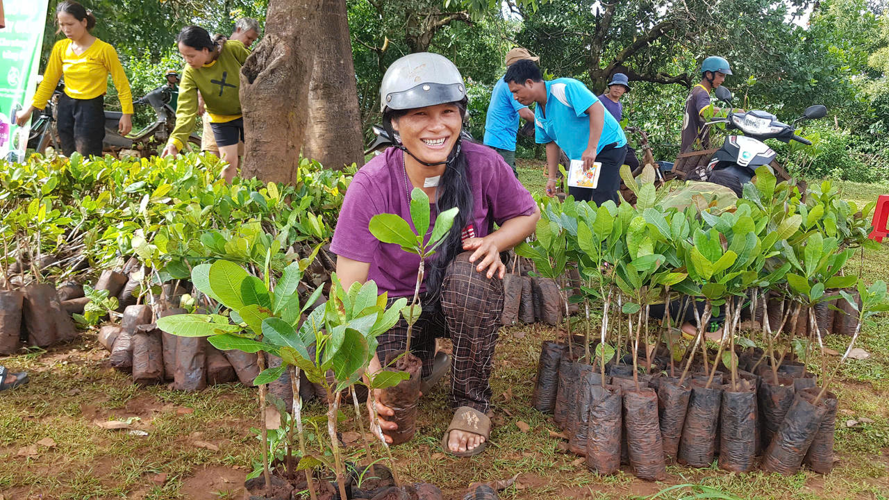 Một nông dân được ofi Việt Nam trao tặng cây điều giống