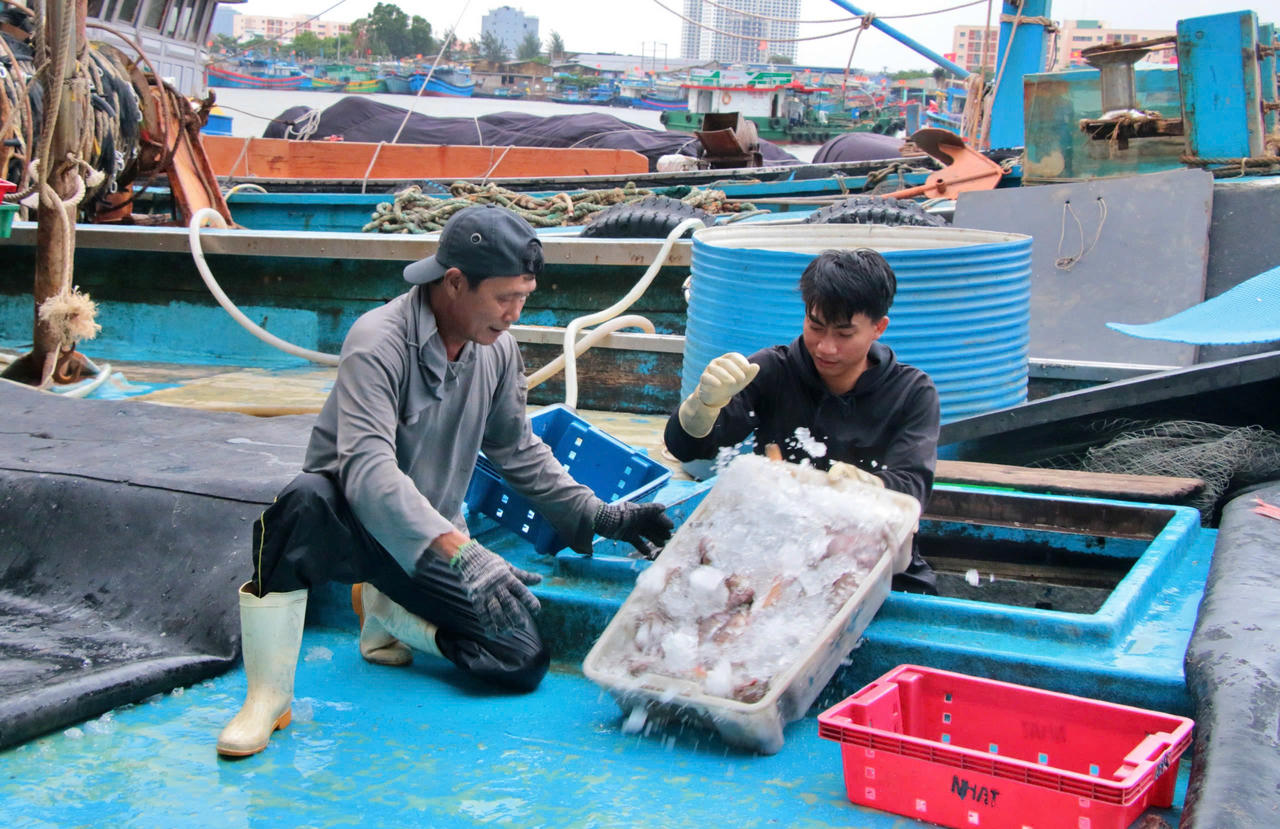 Ngư dân tranh thủ bán hải sản xong để chuẩn bị “chạy bão” số 12. Ảnh: Chí Đại.
