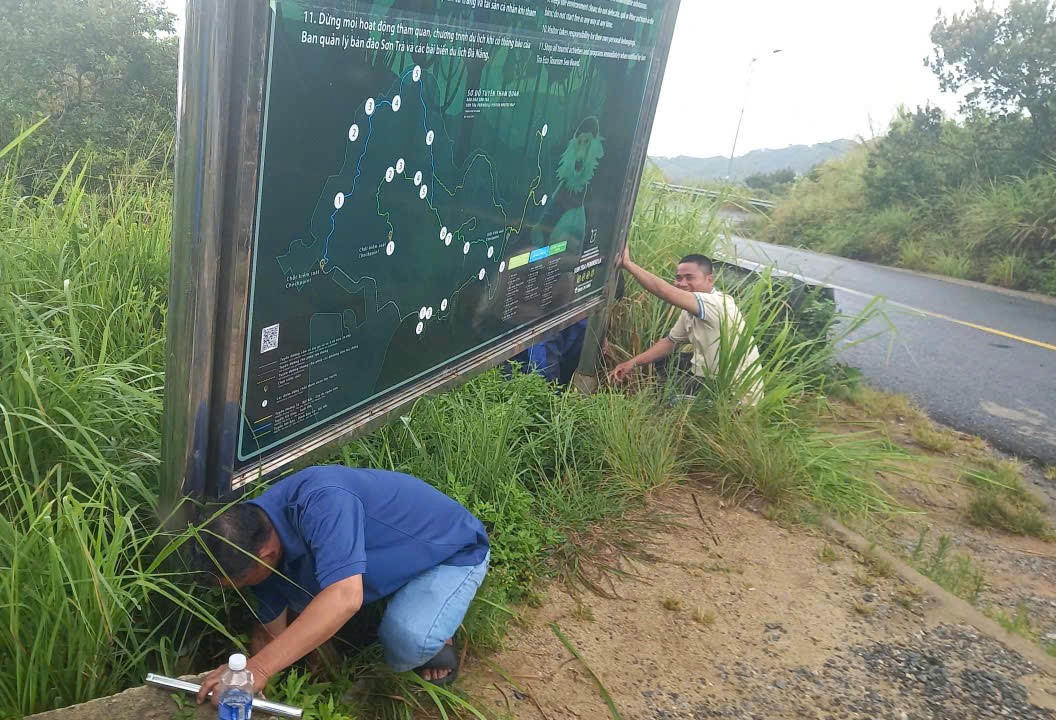 Gia cố biển báo trên bán đảo Sơn Trà và dừng tham quan để đề phòng sạt lở do mưa lớn. Ảnh: Nguyễn Tú.