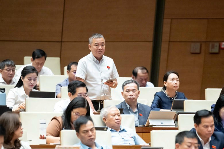 Ông Nguyễn Lân Hiếu phát biểu (Ảnh: Quang Vinh)