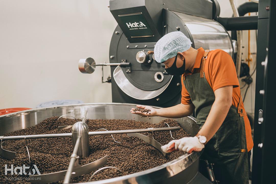 Quy trình sản xuất ra hạt cà phê nguyên vị
