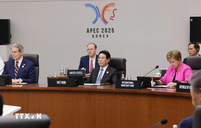 Chủ tịch nước Lương Cường dự Hội nghị Cấp cao Diễn đàn Hợp tác kinh tế châu Á-Thái Bình Dương (APEC) lần thứ 32. (Ảnh: Lâm Khánh/TTXVN)