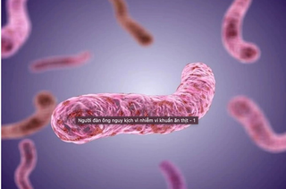 Người đàn ông nguy kịch vì nhiễm 'vi khuẩn ăn thịt người'