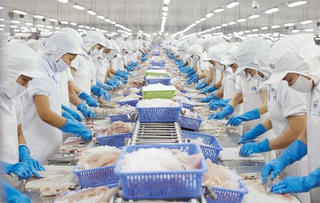 Tín hiệu vui đến từ thủy sản