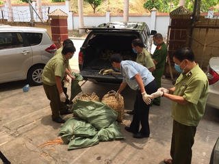 Buôn lậu gia cầm diễn biến phức tạp