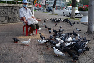 Người đàn ông dành cả thập kỷ cưu mang chim trời