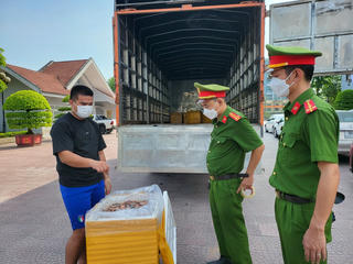 Tạm giữ xe tải chở hơn 300 kg tôm bốc mùi hôi thối