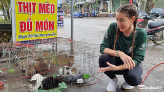 Tổ chức bảo vệ động vật hỗ trợ để một nhà hàng thịt mèo tại Thái Nguyên đóng cửa