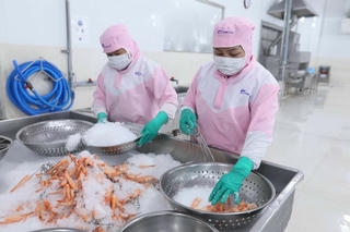 Đặt mục tiêu 9,5 tỷ USD xuất khẩu thủy sản năm 2024