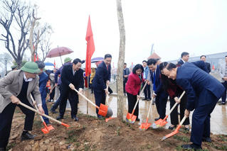 Bí thư Thành ủy Hà Nội tham dự Tết trồng cây tại huyện Thường Tín