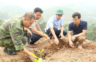 Tuyên Quang: Xuất hiện vết nứt lớn, di dời khẩn cấp nhiều hộ dân đến nơi an toàn