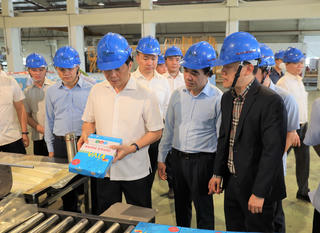 Tuyên Quang: Phát triển rừng bền vững gắn với phát triển kinh tế- xã hội