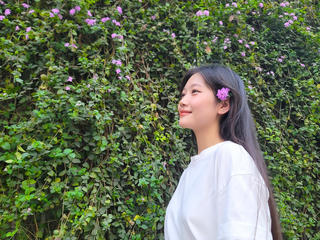 Hoa ngũ sắc tím thu hút giới trẻ Hà Nội