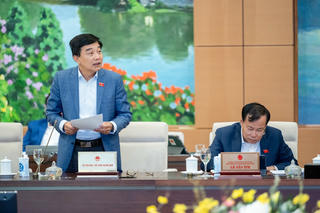 Ngăn chặn các hành vi tiêu cực, gây lũng đoạn thị trường trong đấu giá