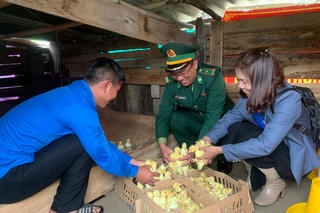 Trao sinh kế để người dân thoát nghèo