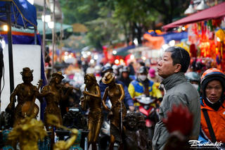 Hà Nội: Chợ hoa Xuân phố Hàng Lược rực rỡ dịp cận Tết