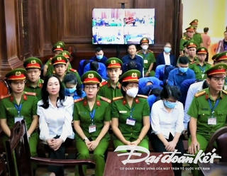 Đề nghị truy tố thêm tội rửa tiền đối với Trương Mỹ Lan