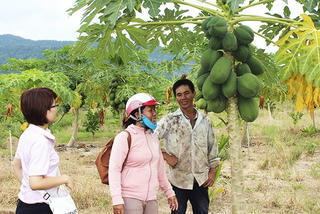 Khánh Hòa: 75 hộ thoát nghèo trong 6 tháng đầu năm 2023 