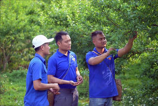 Những thanh niên dám nghĩ, dám làm
