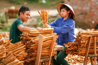Hành trình về vùng khó Quảng Ninh
