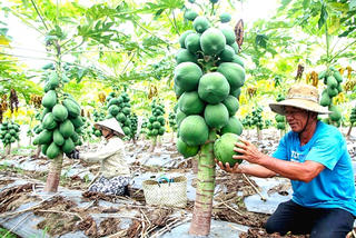 Khánh Hòa: Hơn 3,2 tỷ đồng thực hiện chương trình giảm nghèo bền vững 2023