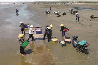 Mùa moi biển