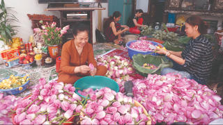 Trà hương ngày tết