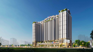 Bà Rịa – Vũng Tàu: Dic Holdings được chuyển nhượng đất nông nghiệp để làm chung cư cao cấp
