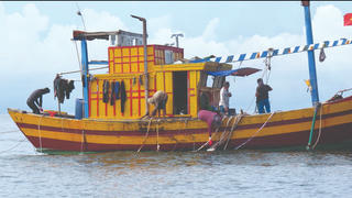 Săn ốc tỏi nơi đảo xa