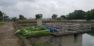 Mỏi mòn chờ nước sạch