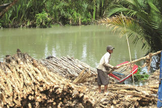 Nhọc nhằn đời phu tràm