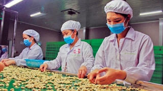 Ngành điều hướng đến sản xuất xanh