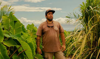 Hồi sinh những khu rừng lương thực Hawaii cổ xưa 