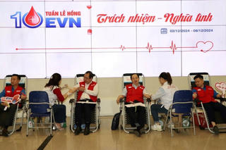 EVN triển khai chương trình Tuần lễ hồng lần thứ 10
