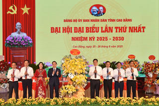 Cao Bằng đẩy mạnh chuyển đổi số gắn với xây dựng bộ máy chính quyền hiện đại