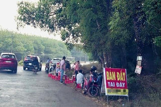 Hệ lụy từ cơn sốt giá đất