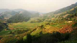 Nụ cười Pù Nhi